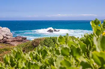 Hermanus coastline, South Africa, Escape & Explore