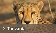 Tanzania