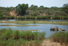 Kruger Park Safari Kruger Park Safari