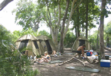 Camping Safari Camping Safari