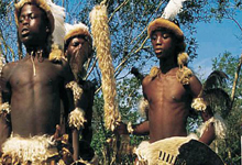Swazi Dancers Swazi Dancers