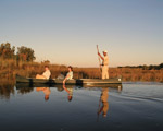 8 Day Delta & Chobe Overland