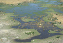 Okavango Delta - Overland Tour Okavango Delta - Overland Tour