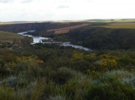 Breede River