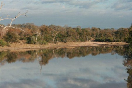 Thornybush Game Reserve