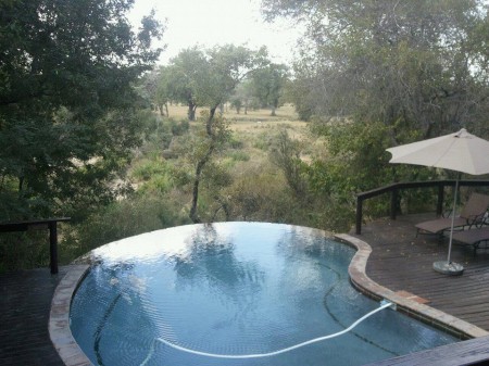 Elephant Plains Lodge