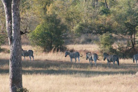 Nottens Bushcamp