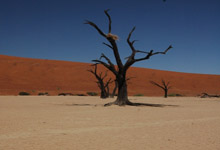 20 day overland tour, Namibia 20 day overland tour, Namibia