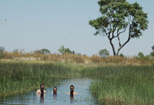 Okavango Delta channel swim Okavango Delta channel swim