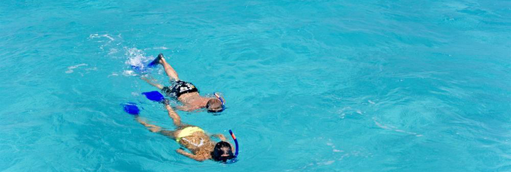 Snorkelling in Mozambique's waters