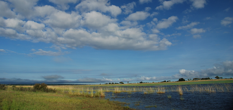 A view of the Chobe River from Ichingo Safari Lodge