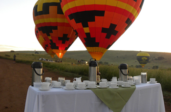 hot air balloon gauteng