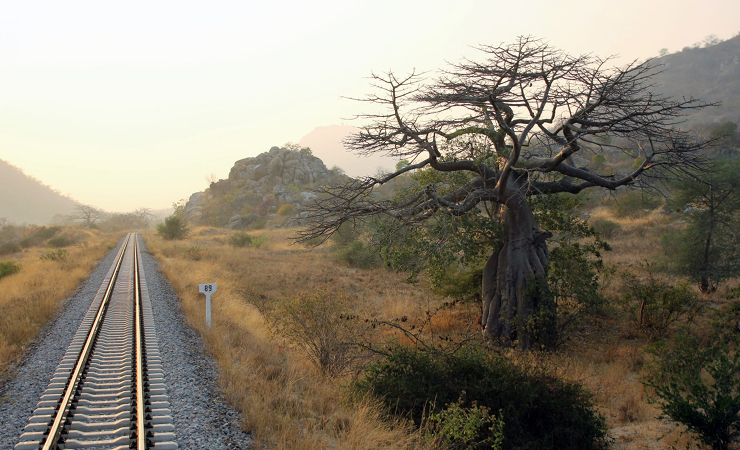 African scenery, Rovos Rail