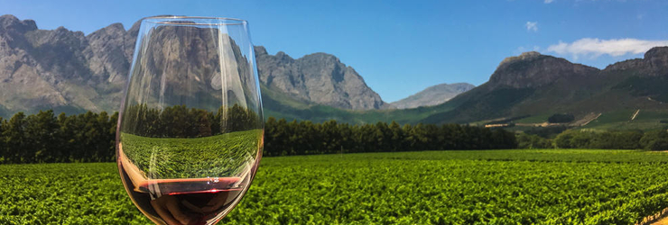 The Cape Winelands is where South Africa's finest wines are grown