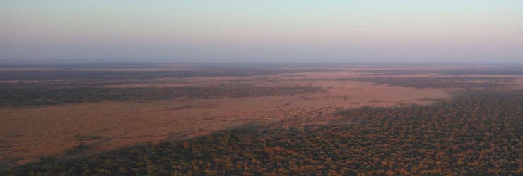 The vast wilderness of Chobe from an early morning hot air balloon flight