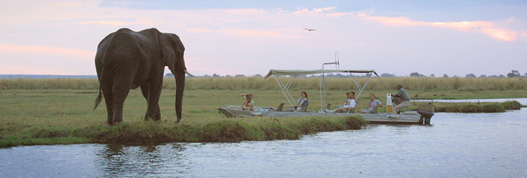 Boating, Chobe River, Chobe Safari Lodge