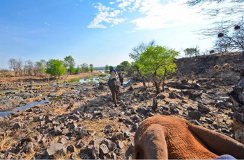 Elephant Back Safari, Victoria Falls