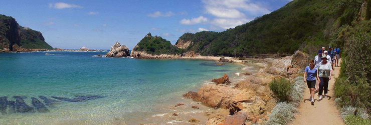 Featherbed Nature Reserve, Knysna