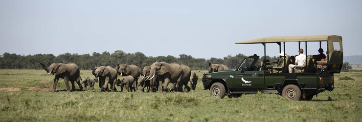 Game Drive Safari, Masai Mara, Kenya
