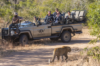 Leopard are just one of the exciting predators to be seen
