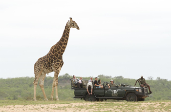 On safari at Inyati Game Lodge, Sabie Sands, South Africa