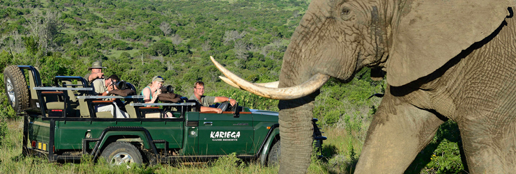 On Safari at Kariega Game Reserve
