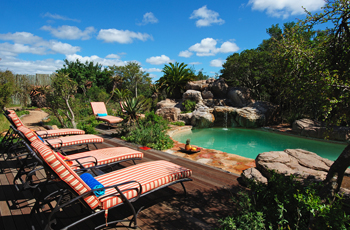 Swimming Pool, Ukhozi Lodge, Kariega Game Reserve