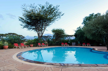 Swimming Pool at Kibo Safari Camp