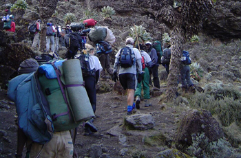 Hiking up Kilimanjaro