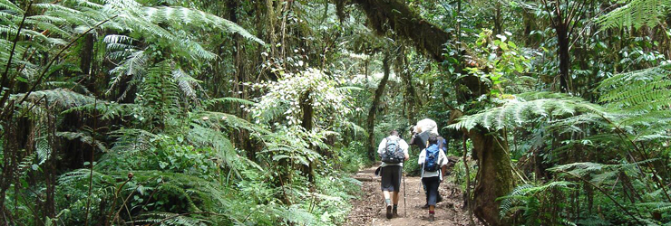 All Climbers are professionally guided
