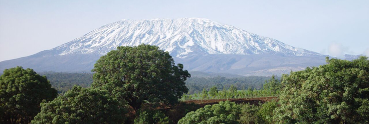 Kilimanjaro