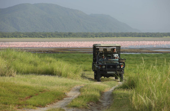 Lake Manyara with pink flamingos in the distance