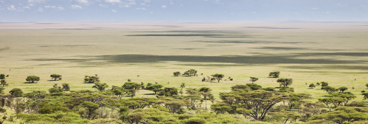 Masai Mara, Kenya