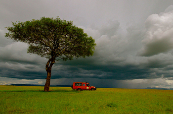 Storm clouds whilst on game drive, Masai Mara