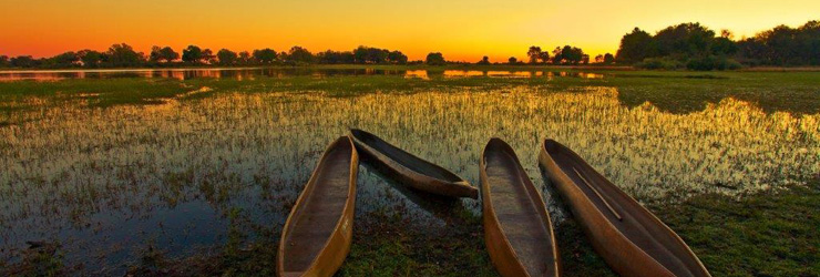 Mokoro dug outs, Okavango Delta, Botswana