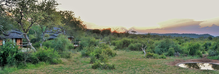 Motswiri Private Safari Lodge, Madikwe Game Reserve