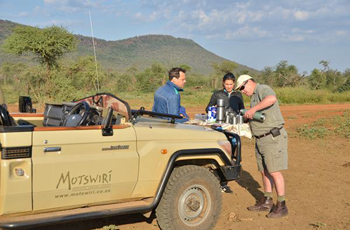 Game Drive at Motswiri in Madikwe Game Reserve