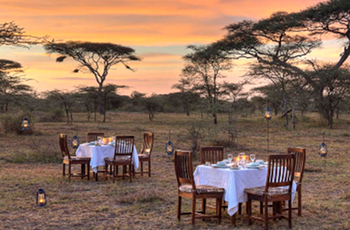 Dinner set for under the stars