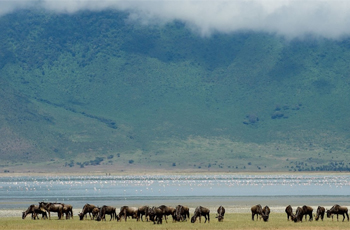 On Safari in the Ngorongoro Crater, Tanzania