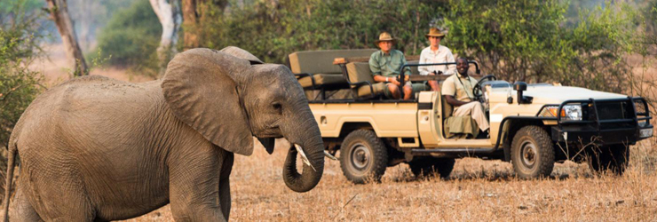 Open Vehicle Safari at Nsefu, Zambia