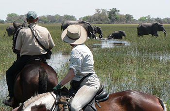 Horse safaris, Okavango Delta