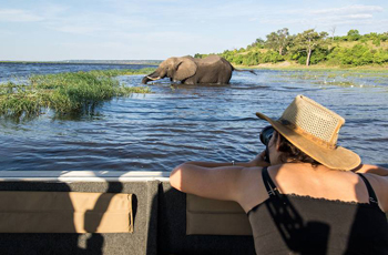 On Safari, Chobe River