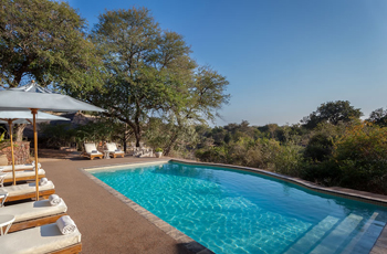 Thornybush Game Lodge - Swimming Pool