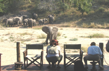 Elephants and other wildlife sometimes pass the deck at Rhino Post Safari Lodge