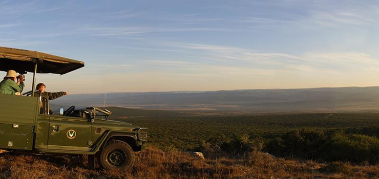 Game drive at the Addo National Park, Eastern Cape