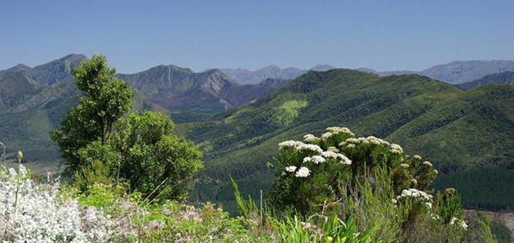Garden Route, South Africa