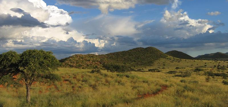 A lonely track in the Karoo