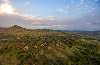 Serengeti Serena