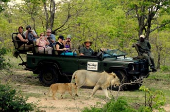 14-Day Southern Africa Tour - Zimbabwe Highlights