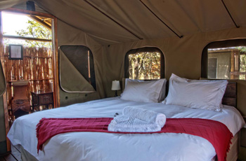 Shindzela Tented Camp, Timbavati, Kruger Park area